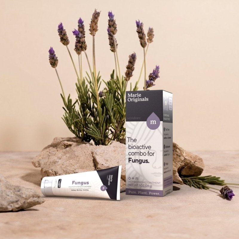 Fungus Ointment - Case of 6Foot Caremarieoriginals.com